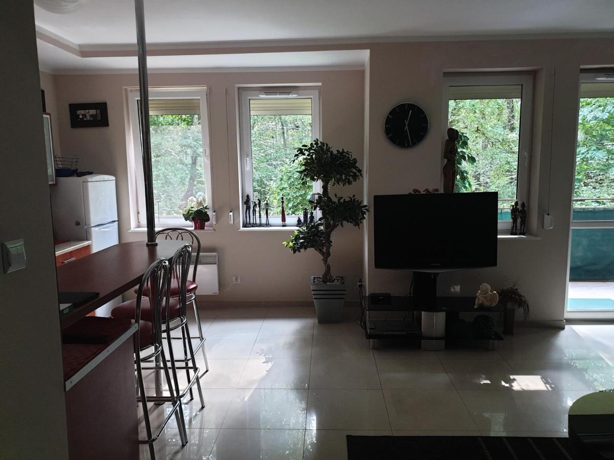 Apartament Maria Мендзиздрое Екстериор снимка