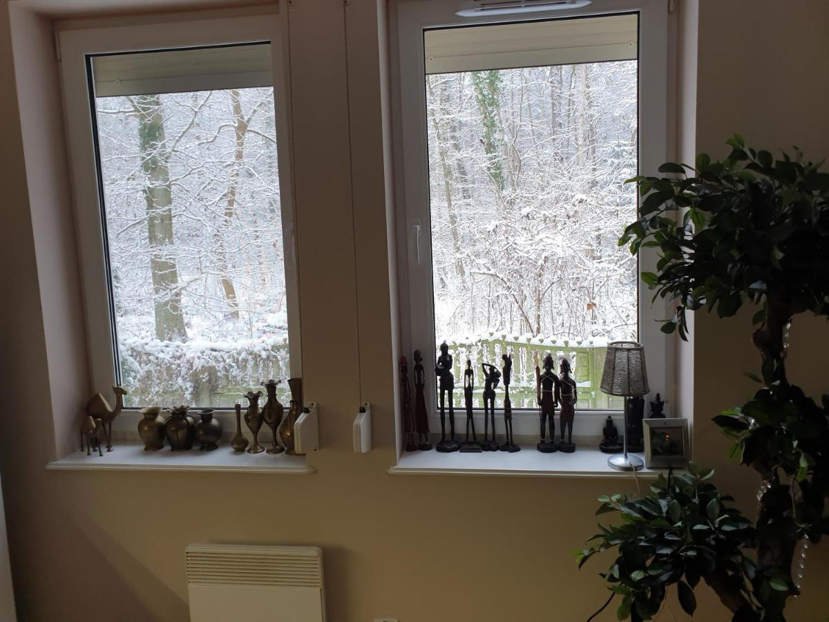 Apartament Maria Мендзиздрое Екстериор снимка