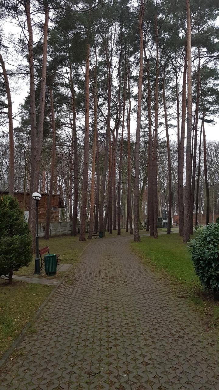 Apartament Maria Мендзиздрое Екстериор снимка